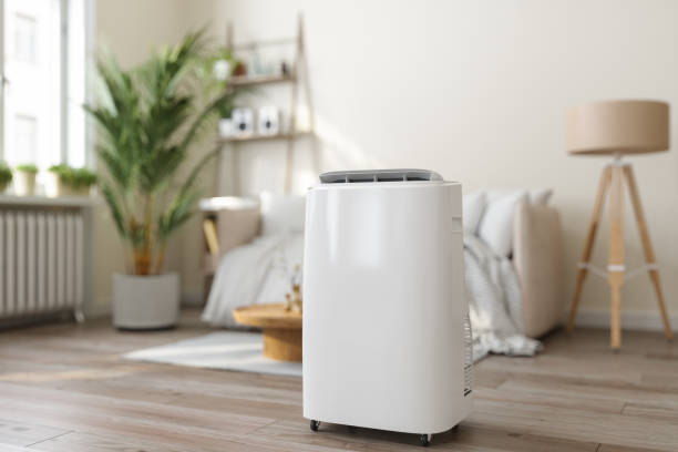Best Ductless HVAC Repair  in North Les, AK